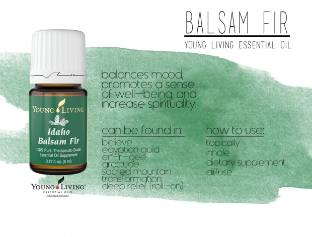 Balsam Fir